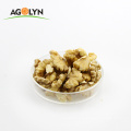 Hot sale 2019 new crop Walnut kernels light amber halves/butterfly